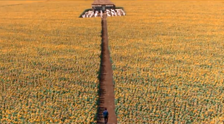 Ogni cosa è illuminata