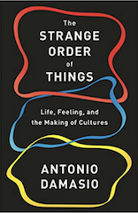 The strange order of things di Antonio Damasio. Recensione di Rosa Spagnolo
