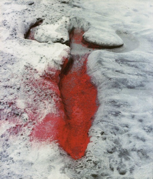 ANA MENDIETA EARTH WORK