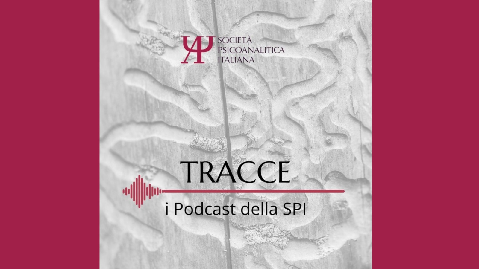 SPI - Podcast 2