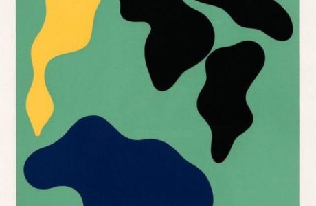 La cura della psicosi. L. Rinaldi