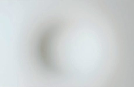 Storia e statuto del corpo, tra mutamenti e rischi D. D’Alessandro. Huffpost, 2/11/2023 1