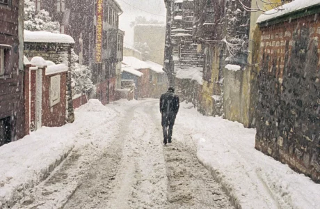 Inner Landscapes - Nuri Bilge Ceylan. L. Blandino