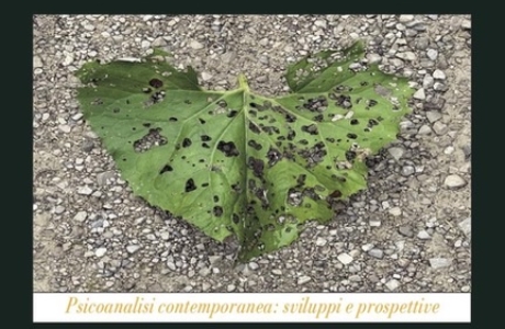 "Verità Psichica, Psicoanalisi, Senso di Giustizia" a cura di M. Naccari Carlizzi e R. Rizzitelli.