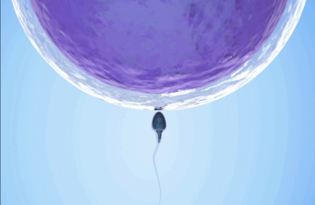 COWAP CONFERENCE First announcement -Save the date. Heidelberg, Germany. June 12-14, 2026