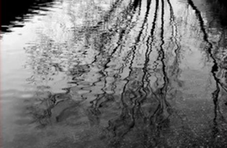 CdPR -  I NOSTRI LIBRI  La passione dell’odio. Il pozzo avvelenato. Roma e online, 25/10/2025