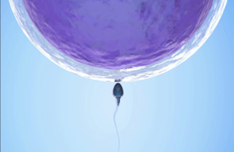 COWAP CONFERENCE  First announcement -Save the date. Heidelberg, Germany. June 12-14, 2026