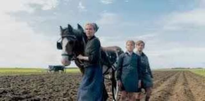 "L'isola dei ricordi"di F. Akin. Recensione di Cristiano Nichini