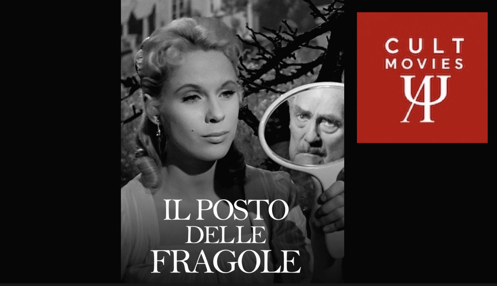 "Il posto delle fragole" di Ingmar Bergman. Recensione di Carlo Brosio 4