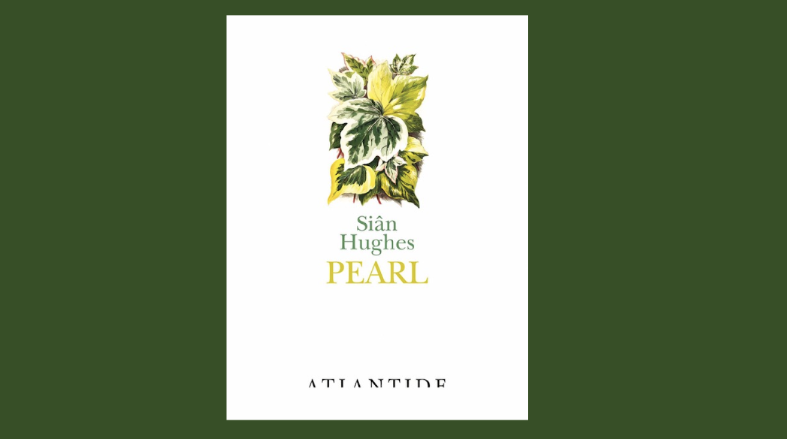 "Pearl" di Sian Hughes. Recensione di Daniela Federici