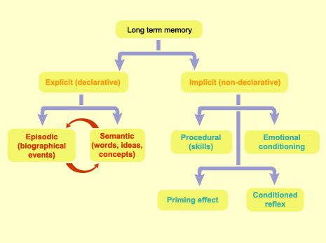 LONG TERM MEMORY