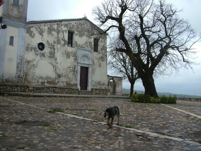 foto di Mario Dondero