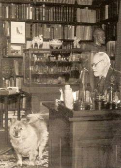 sigmund-freud_cabinet-de-travail-photo.jpg